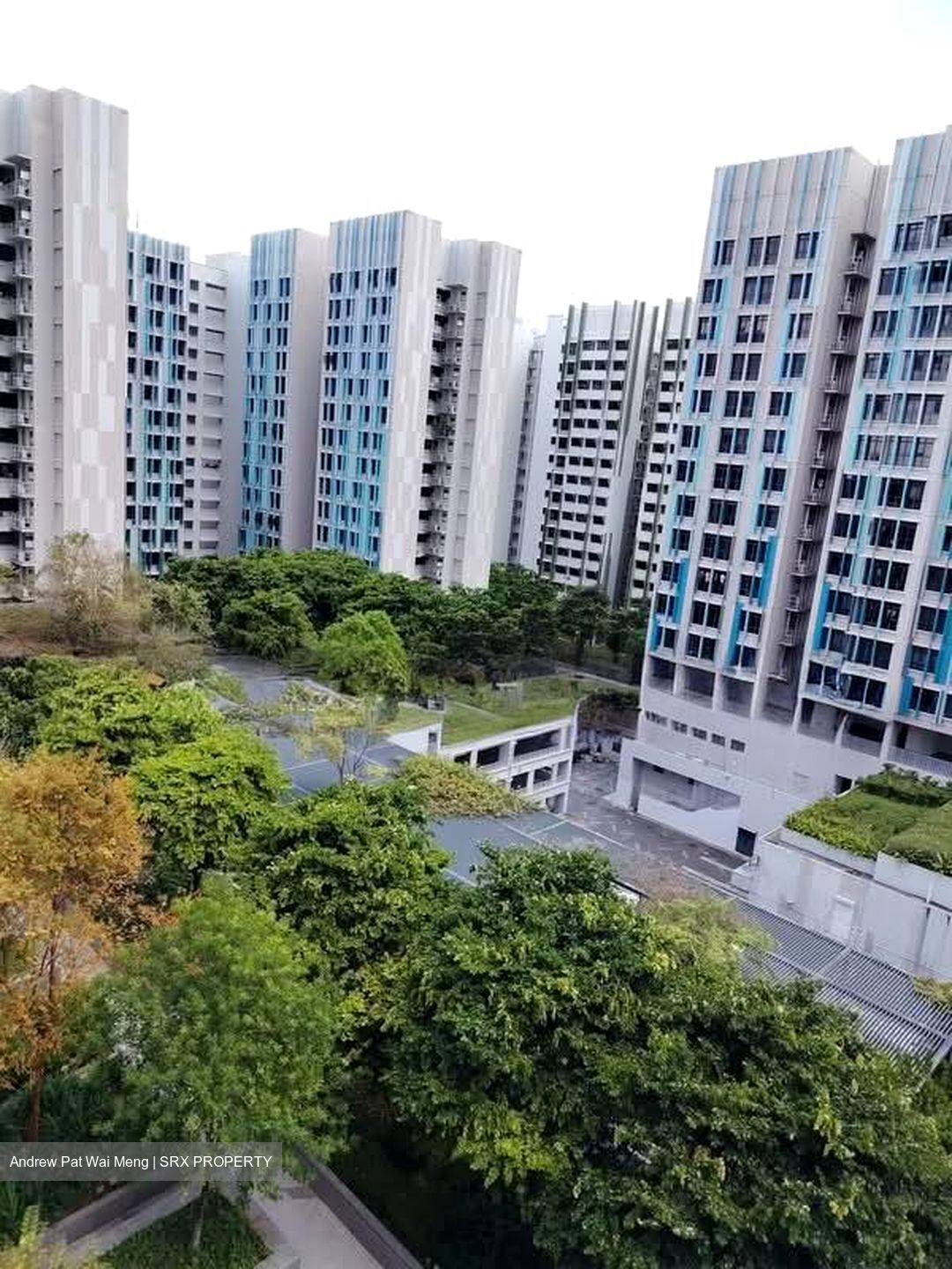 Blk 115C Alkaff Lakeview (Toa Payoh), HDB 4 Rooms #534335141
